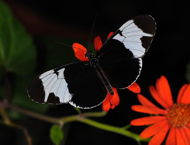 D33_4674.jpg