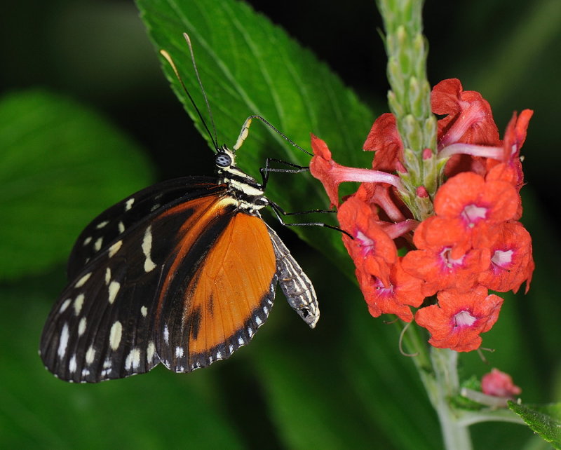 D33_4690.jpg