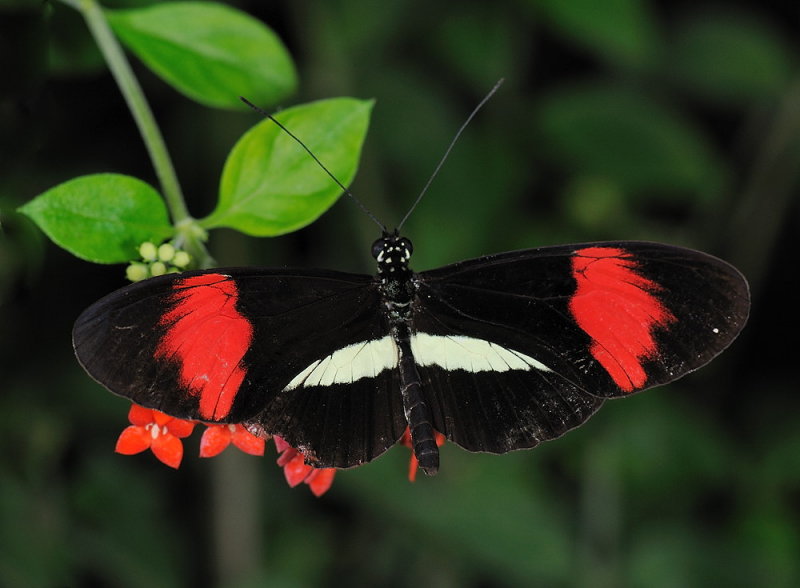 D33_4694.jpg