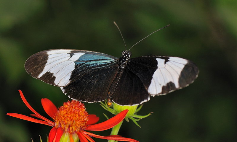 D33_4715.jpg