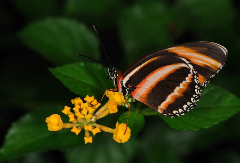 D33_4751.jpg