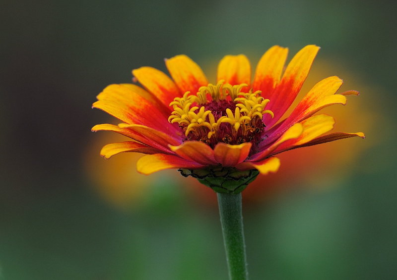 D33_6039.jpg
