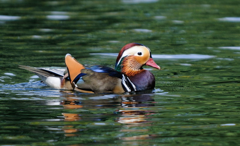 D33_5925.jpg
