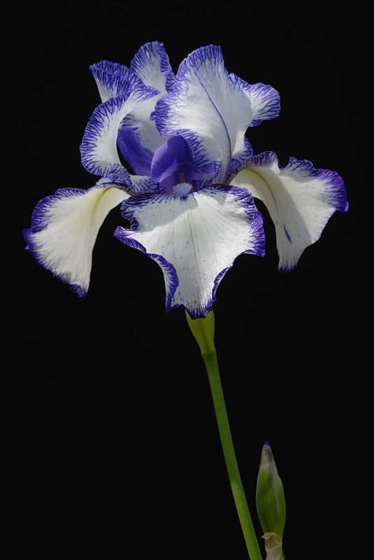 D23_8185.jpg