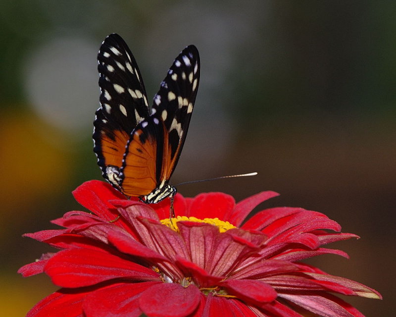 D23_9625.jpg