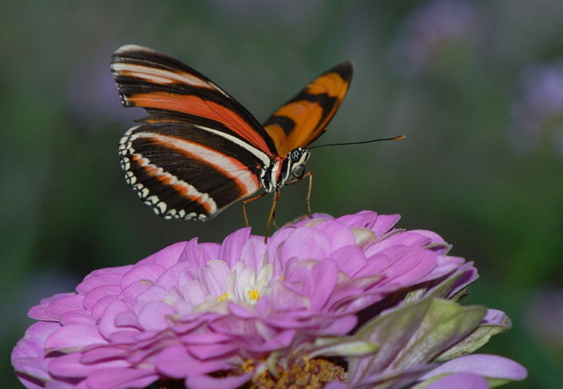 D23_9688.jpg