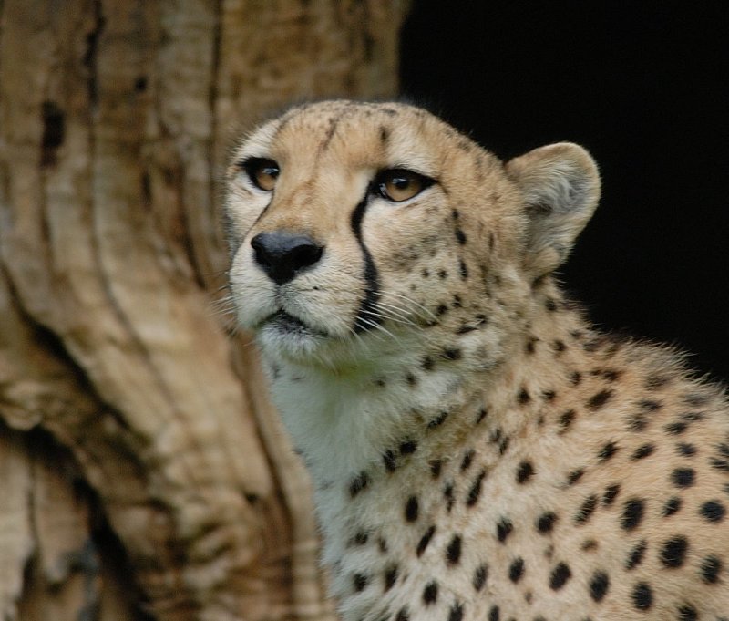 D23_9062.jpg