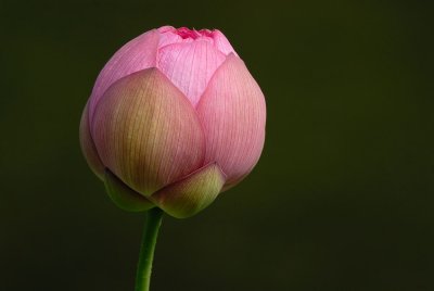 D24_8615.jpg