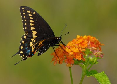 D24_9001.jpg