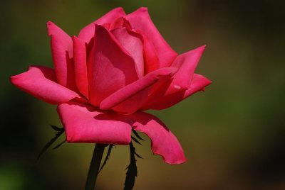 D24_9026.jpg