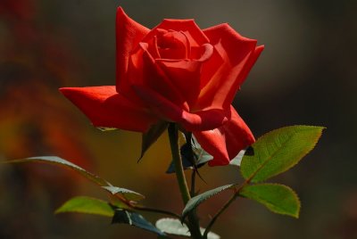 D24_9044.jpg
