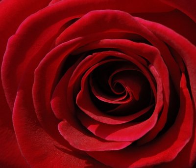 D24_9099.jpg