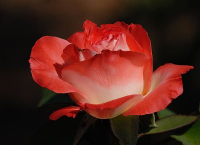 D24_9104.jpg