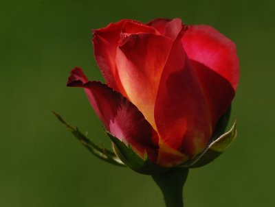D24_9106.jpg