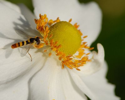D25_0898.jpg