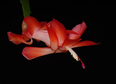D25_1278.jpg
