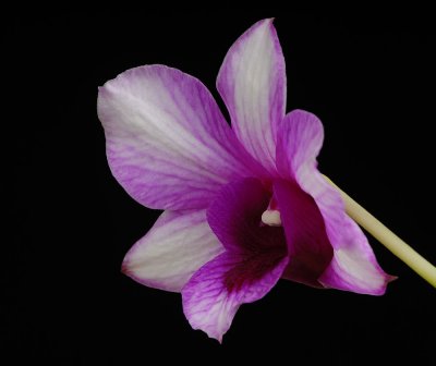 D25_1340.jpg