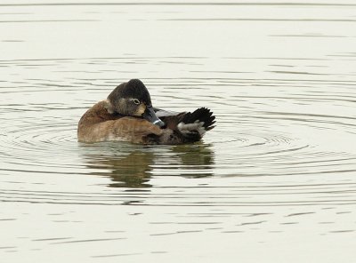 D25_1582.jpg