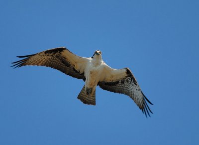 D25_6671.jpg