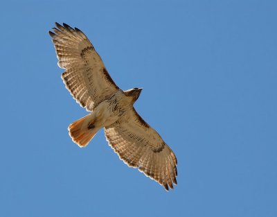 D25_6737.jpg