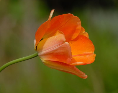D25_6963.jpg