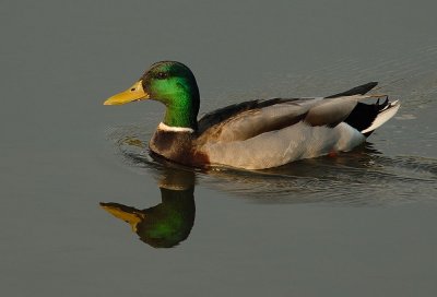 D25_7309.jpg