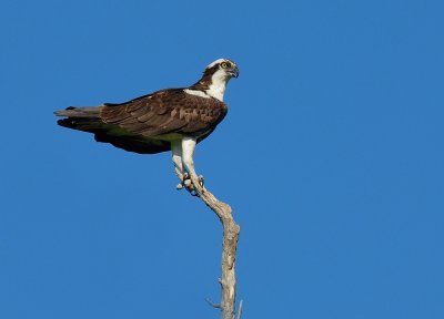 D26_0406.jpg