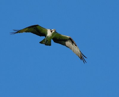 D26_0429.jpg