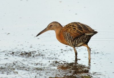 D26_0805.jpg