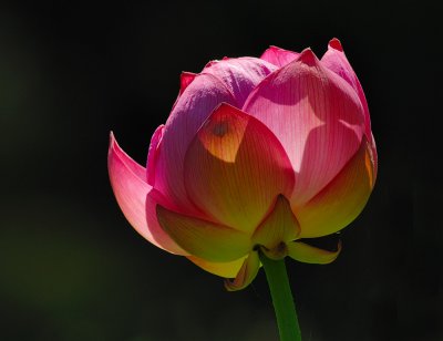 D26_2901.jpg