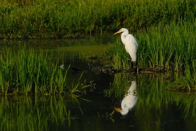 D26_5205.jpg