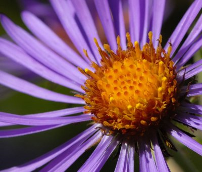 D26_6842.jpg