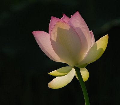 D28_1312.jpg