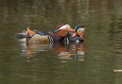 D28_6183.jpg