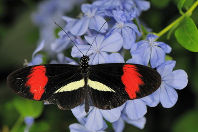 D33_4698.jpg