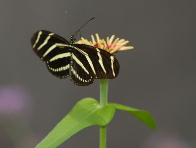 D23_9404.jpg