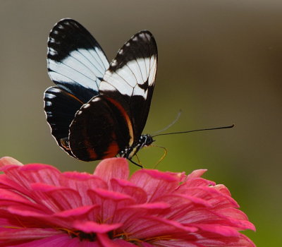 D23_9616.jpg