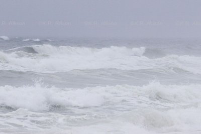 Stormy Seas 0041-06.jpg