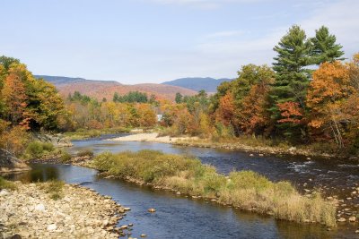 Autumn Foliage on The Pemigewasset River 005(10-08).jpg