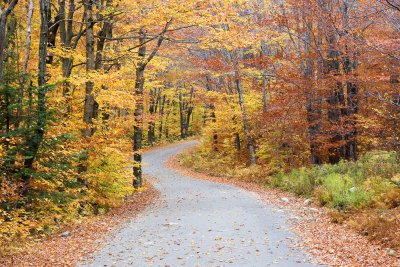 Moosilauke Carriage Road 006(10-08).jpg