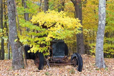 Old Car and Foliage 001(10-08).jpg