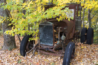 Old Car and Foliage 003(10-08).jpg
