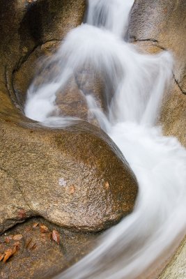The Basin 032(10-08).jpg