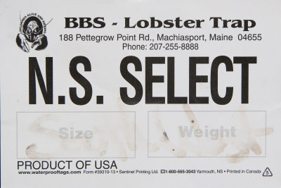 BBS - Lobster Trap - NS Select.jpg