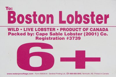 Boston Lobster 6+.jpg