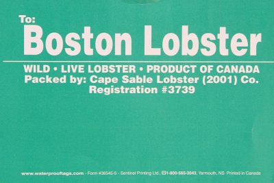 Boston Lobster Green.jpg