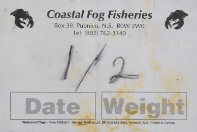 Coastal Fog Fisheries .jpg