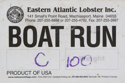Eastern Atlantic Lobster - Boat Grade.jpg
