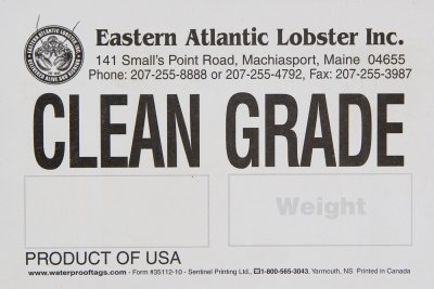 Eastern Atlantic Lobster - Clean Grade.jpg