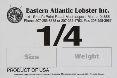 Eastern Atlantic Lobster - Quarter.jpg